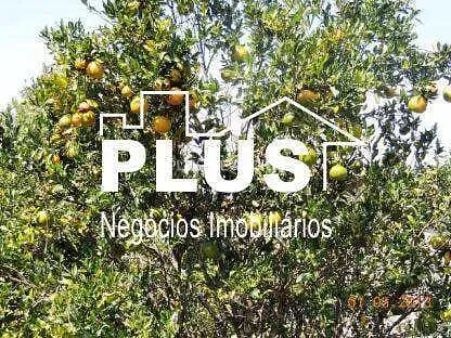 Sítio, 3 quartos, 5220 m² - Foto 14