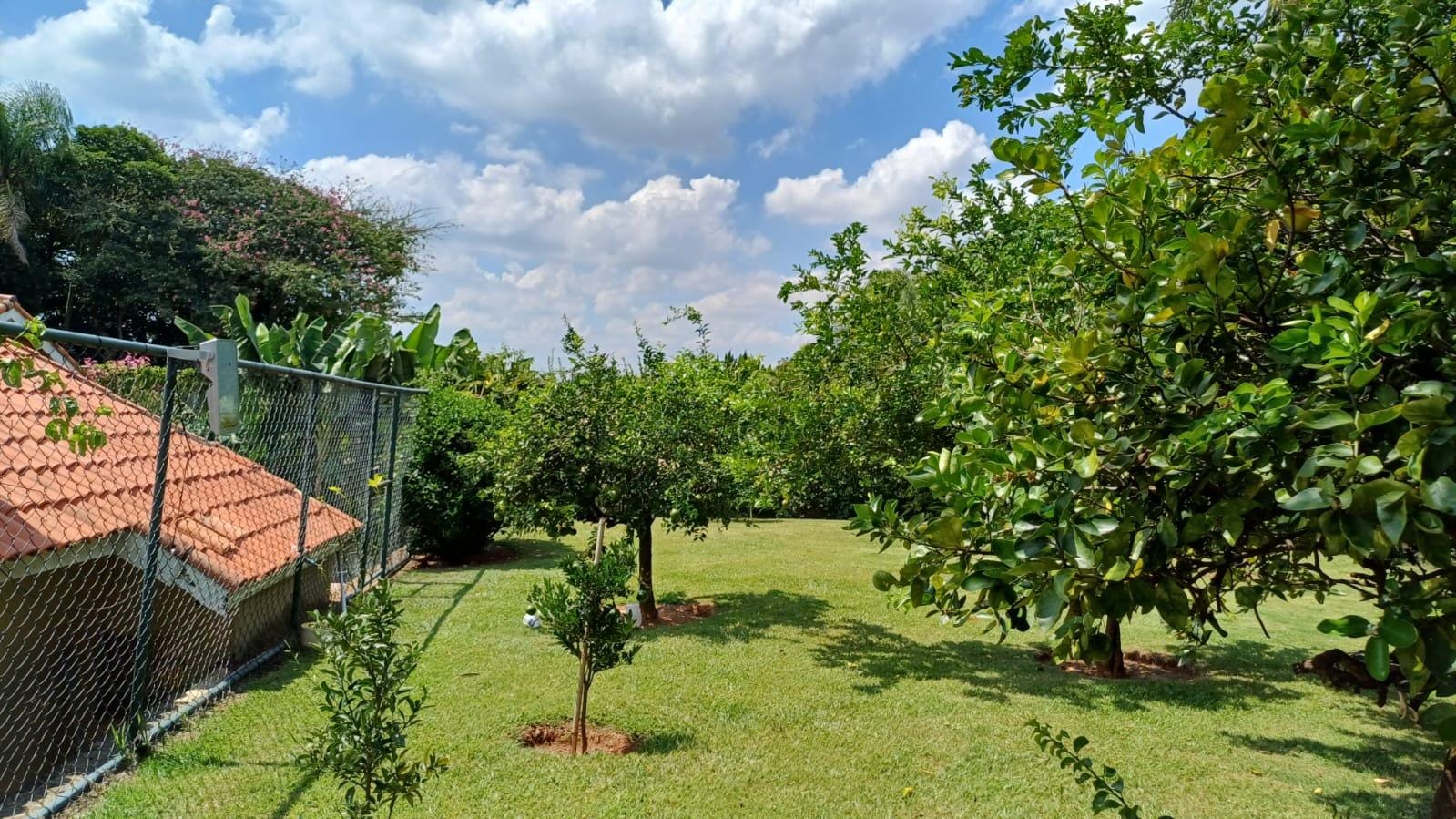 Chácara à venda com 3 quartos, 294m² - Foto 59