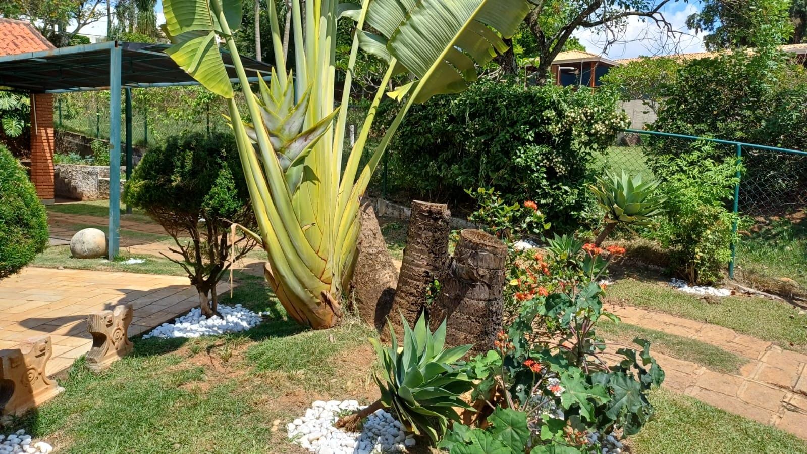 Chácara à venda com 3 quartos, 294m² - Foto 56