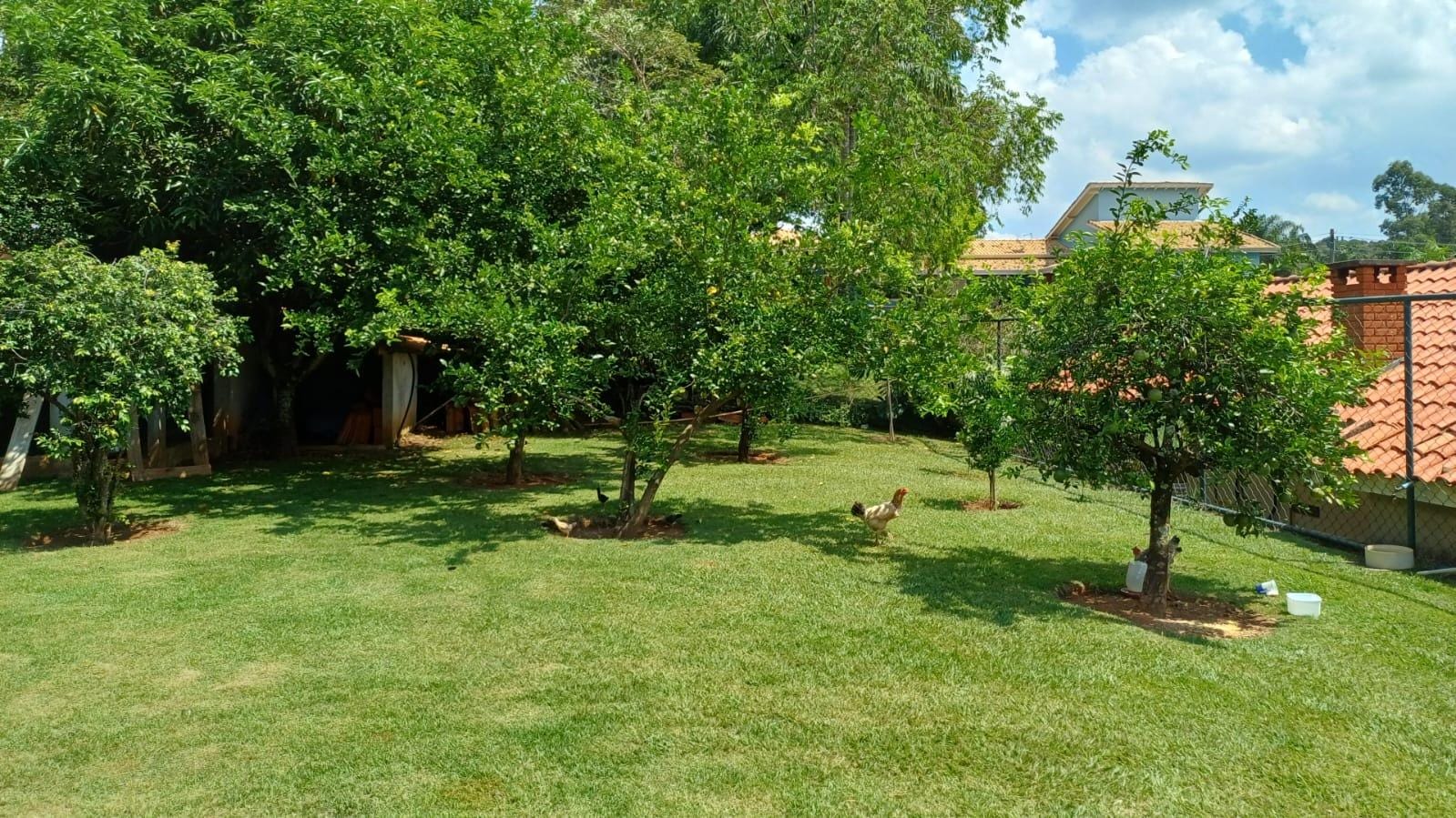 Chácara à venda com 3 quartos, 294m² - Foto 58