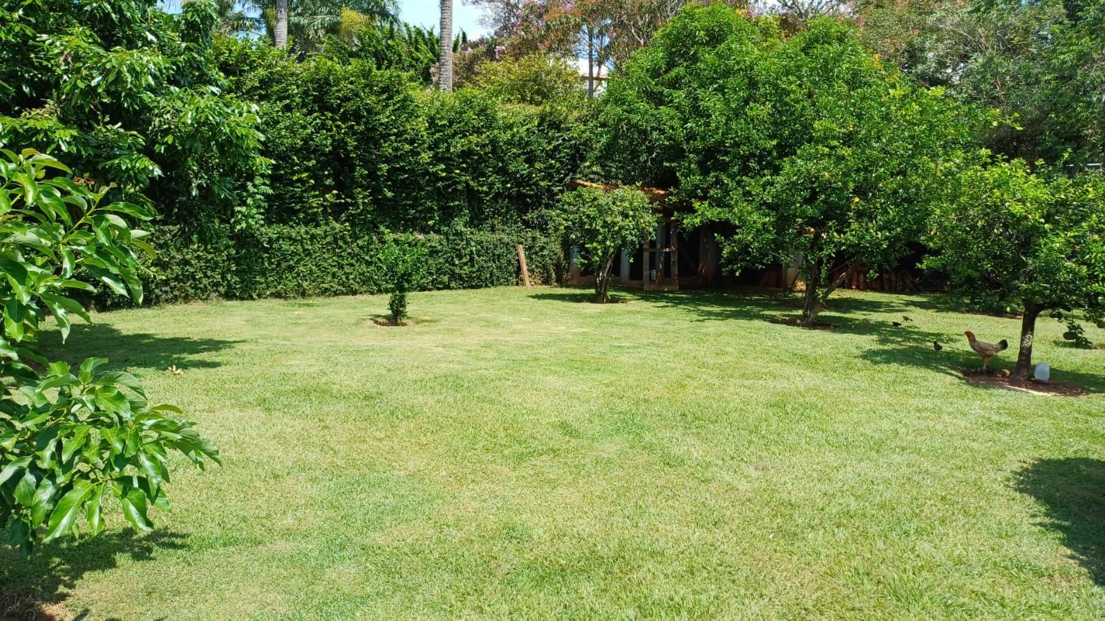 Chácara à venda com 3 quartos, 294m² - Foto 57