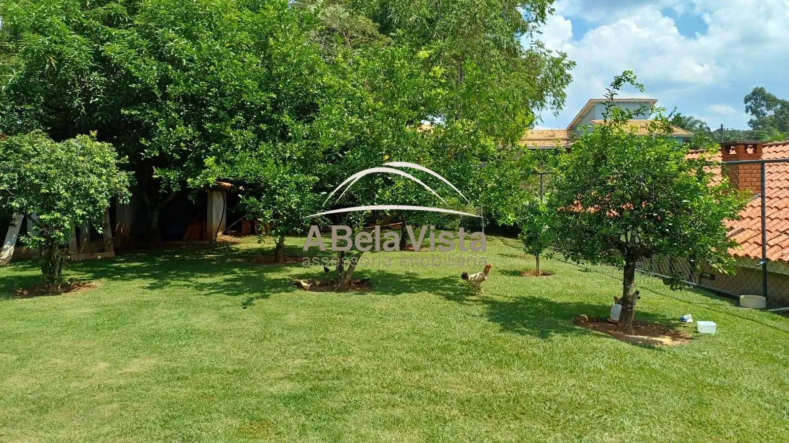 Chácara, 3 quartos, 1004 m² - Foto 58