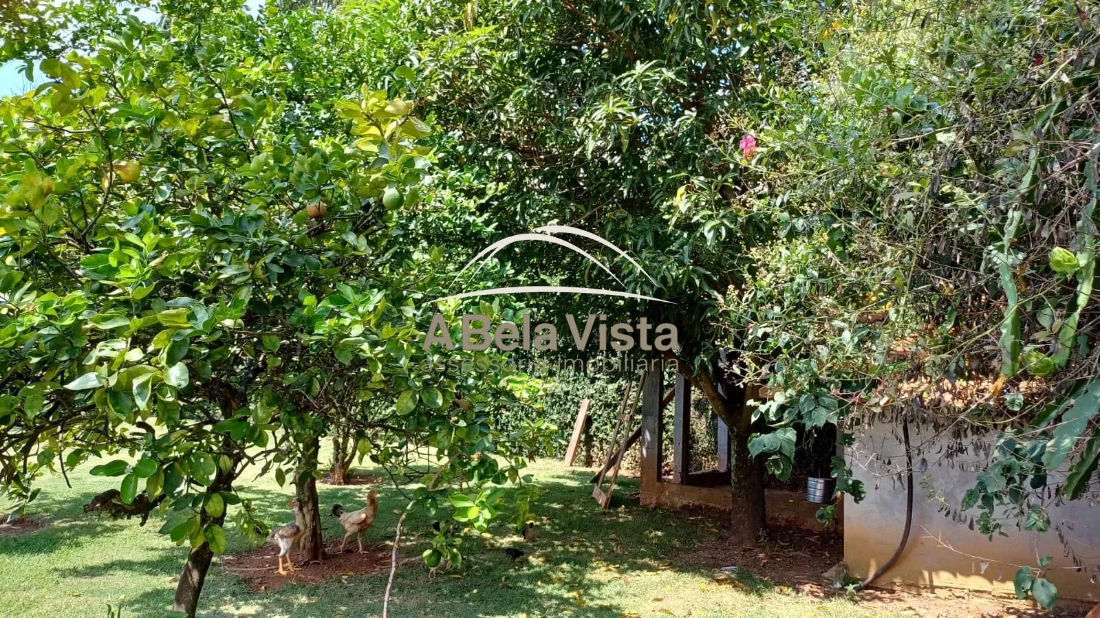 Chácara, 3 quartos, 1004 m² - Foto 55