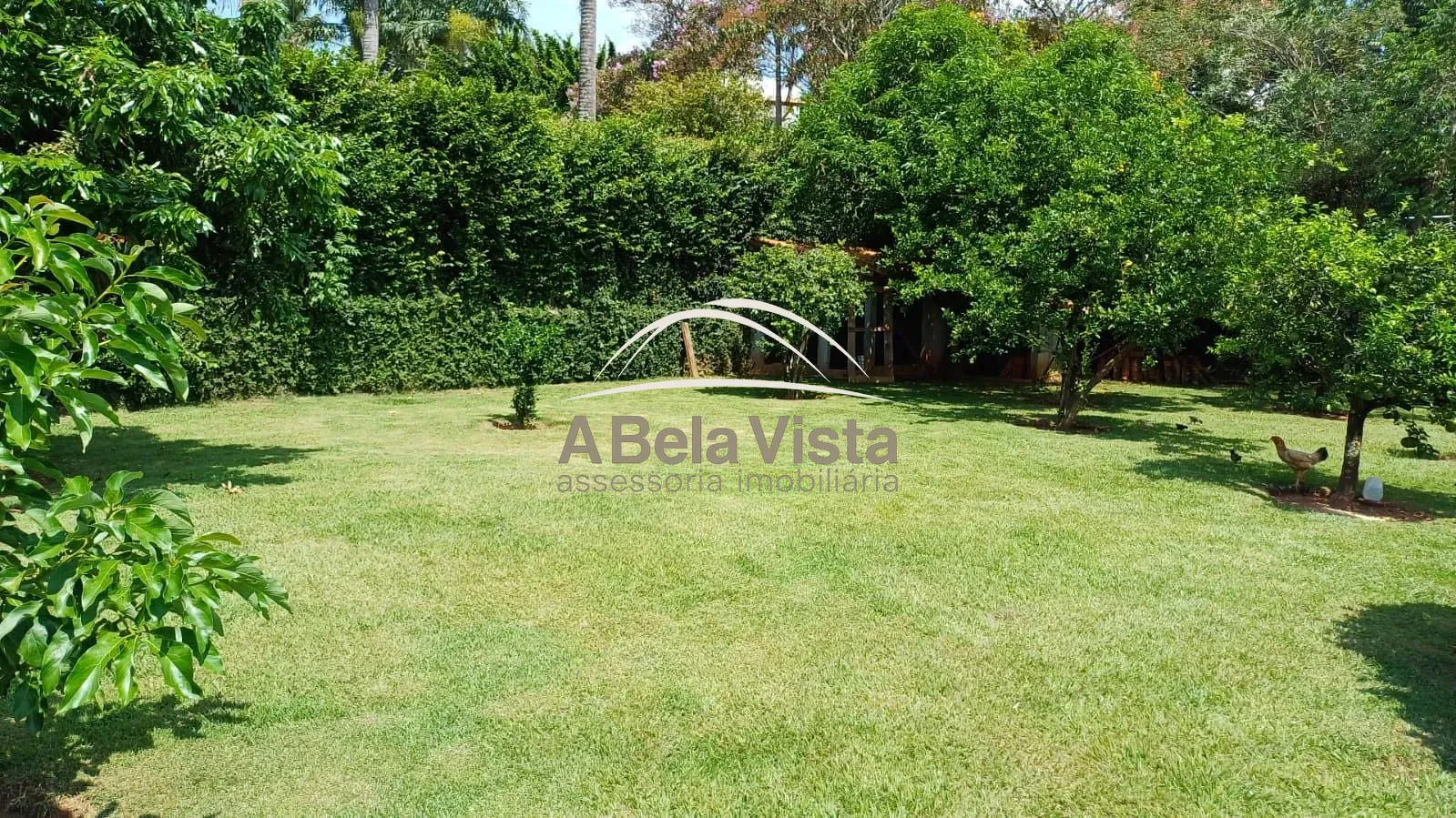 Chácara, 3 quartos, 1004 m² - Foto 57