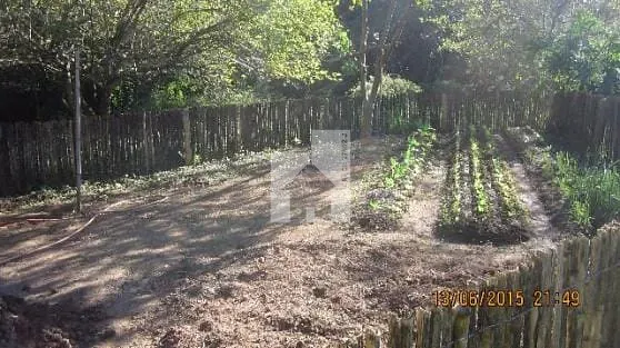 Foto 13