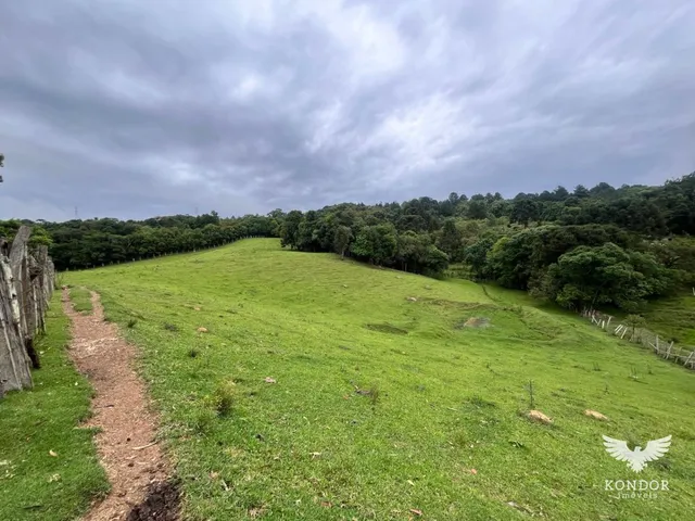 Sítio com 30250m², à venda, no bairro Quarteirão de São João em Campo Largo