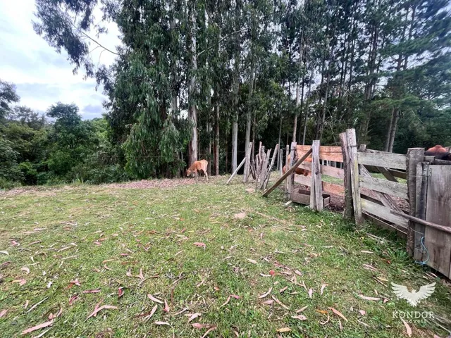 Sítio com 30250m², à venda, no bairro Quarteirão de São João em Campo Largo