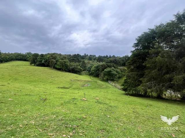 Sítio com 30250m², à venda, no bairro Quarteirão de São João em Campo Largo