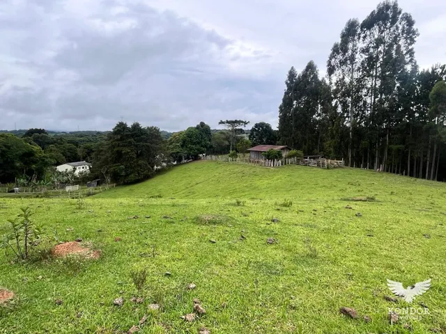 Sítio com 30250m², à venda, no bairro Quarteirão de São João em Campo Largo