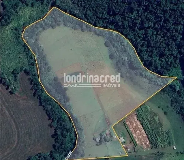 Sítio, 3 quartos, 7 hectares - Foto 1