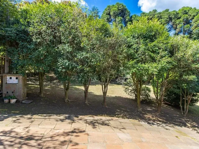 Sítio com 16402m² 2 quartos e 3 banheiros, à venda, no bairro Roça Grande em Colombo
