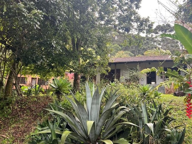 Chácara com 42865m² 4 quartos e 3 banheiros, à venda, no bairro Tenentes em Extrema
