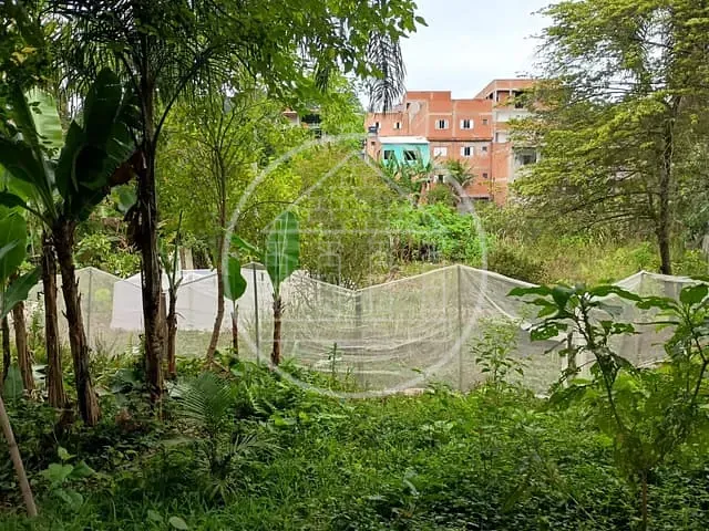 Chácara com 5000m² 1 quarto e 1 banheiro, à venda, no bairro Cidade Ipava em São Paulo