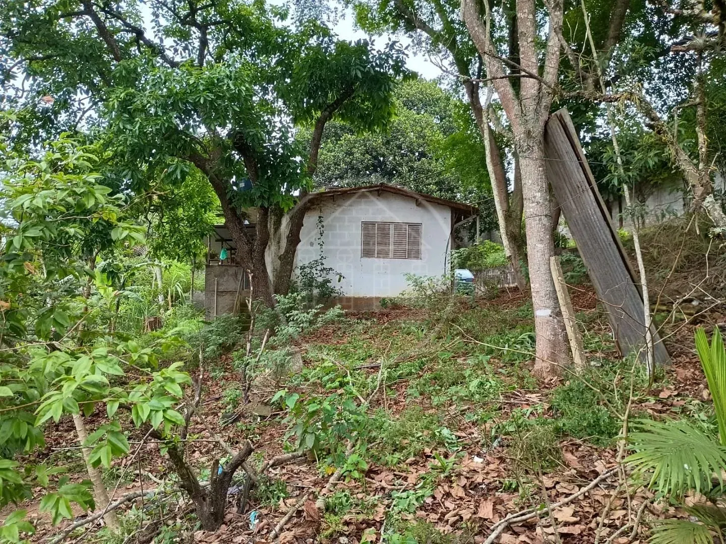 Sítio, 1 quarto, 5000 m² - Foto 4