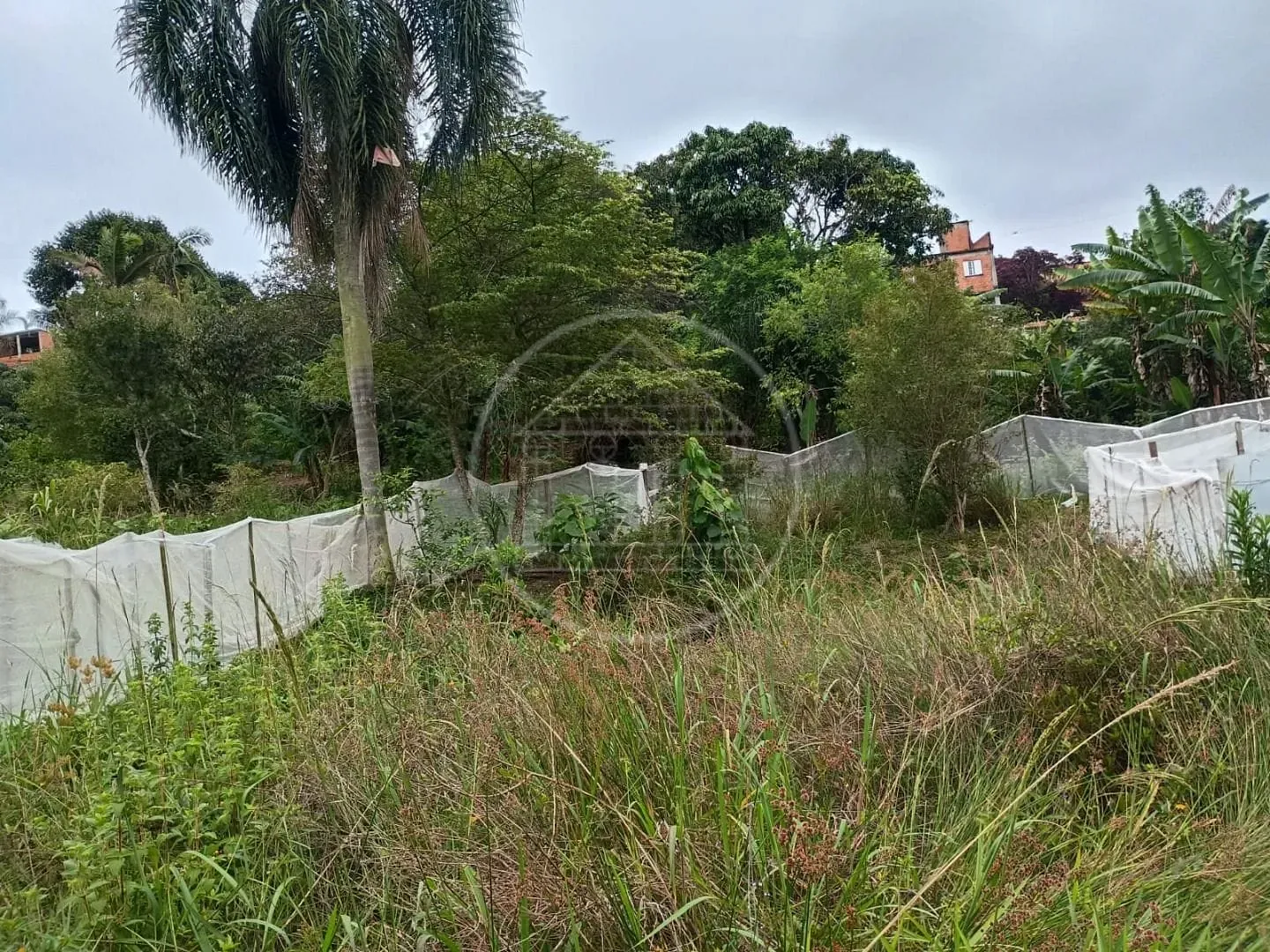 Sítio, 1 quarto, 5000 m² - Foto 10