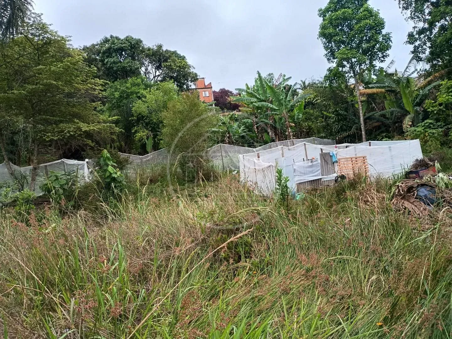Sítio, 1 quarto, 5000 m² - Foto 15