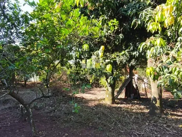 Chácara com 1180m² 2 quartos e 2 banheiros, à venda, no bairro Residencial Vale dos Lírios em Nova Odessa