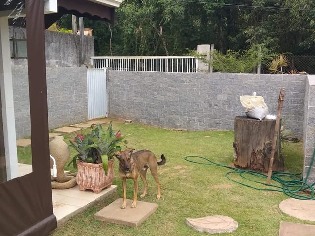 Chácara com 1000m² 5 quartos e 3 banheiros, à venda, no bairro Ribeirão dos Porcos em Atibaia