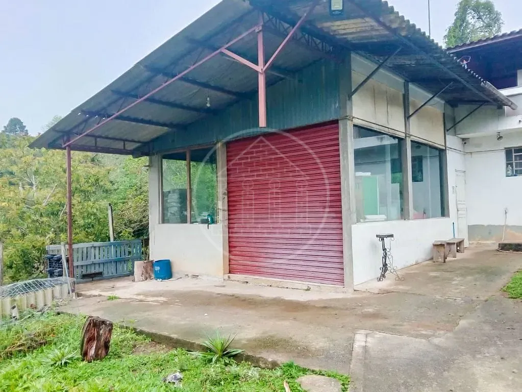 Sítio, 3 quartos, 2025 m² - Foto 15