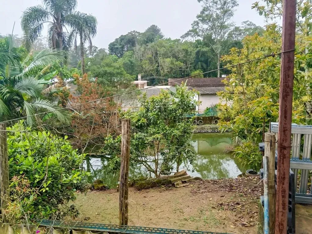 Sítio, 3 quartos, 2025 m² - Foto 30