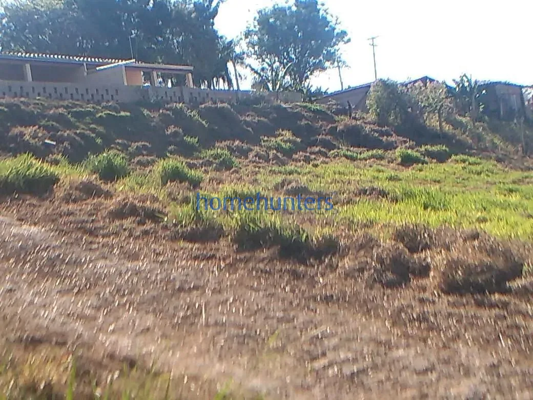Chácara, 4 quartos, 7000 m² - Foto 8