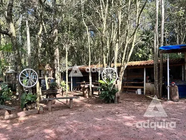 Chácara, 3 quartos, 3840 m² - Foto 12