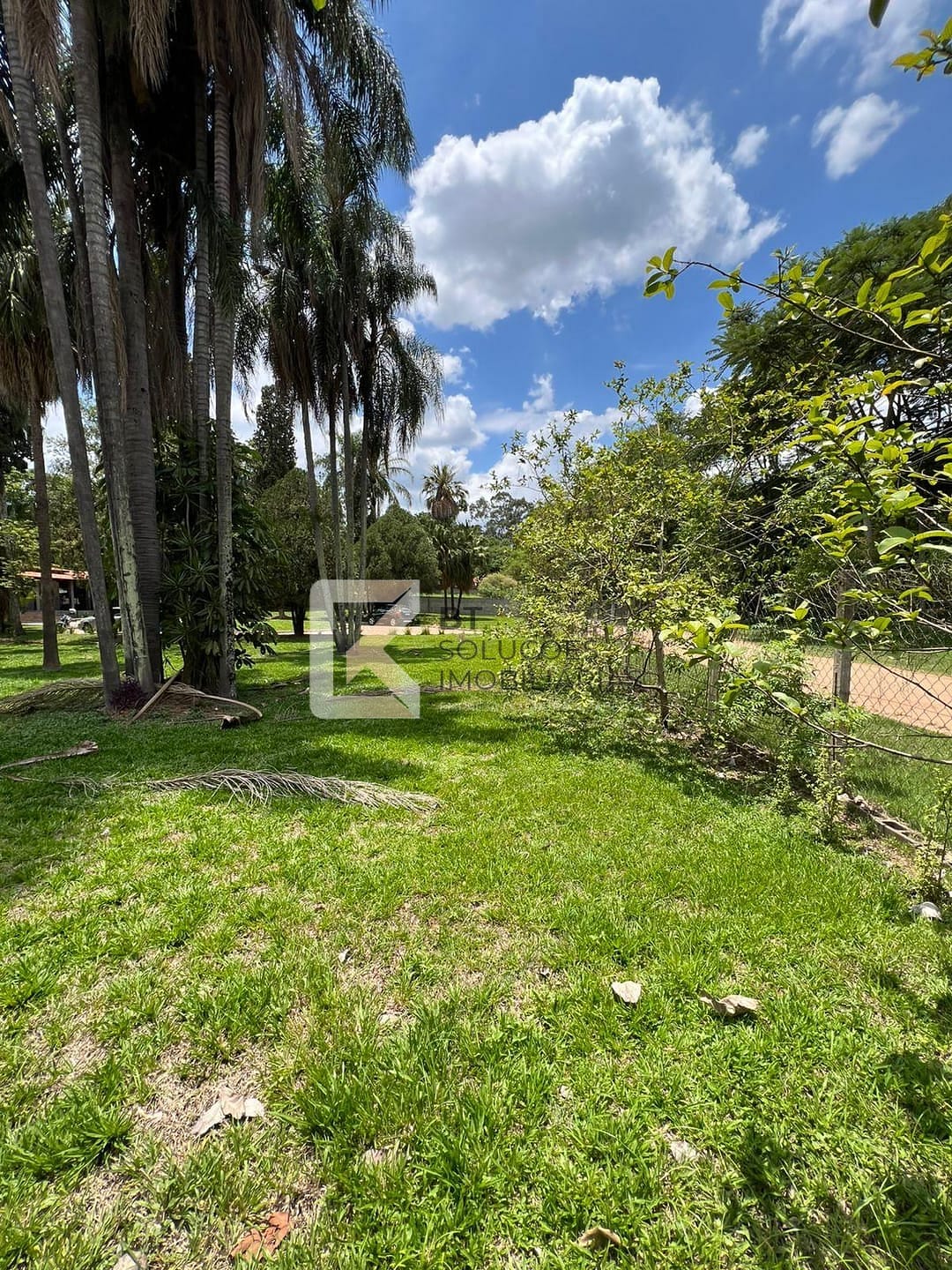 Chácara, 3 quartos, 5000 m² - Foto 67