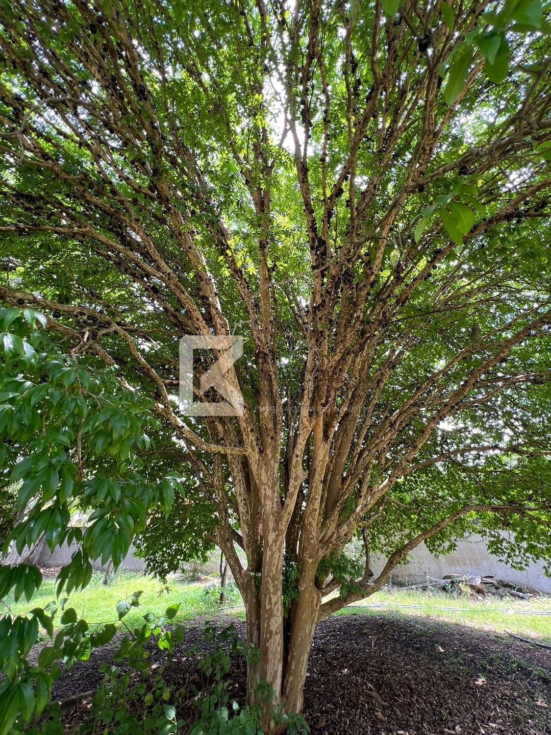 Chácara, 3 quartos, 5000 m² - Foto 43