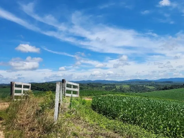 Chácara 4 quartos e 4 banheiros, à venda, no bairro Palmitalzinho em Bocaiúva Do Sul