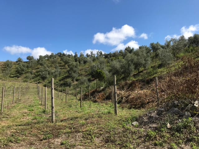 Chácara à venda, no bairro Pinhal Novo em Lorena
