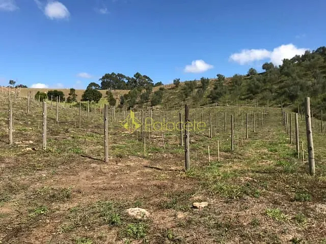 Chácara à venda, no bairro Pinhal Novo em Lorena