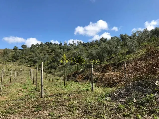 Chácara à venda, no bairro Pinhal Novo em Lorena