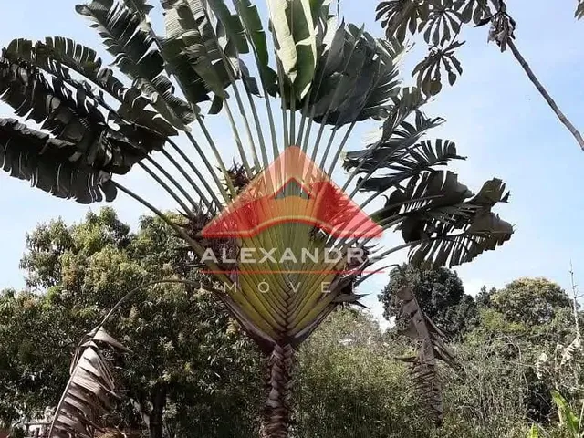 Chácara com 7000m² 17 quartos e 3 banheiros, à venda, no bairro Solar da Mantiqueira em Tremembé