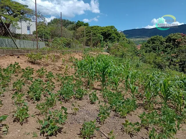 Chácara com 2593m² 1 quarto e 3 banheiros, à venda, no bairro Vilarejo em Cabreúva