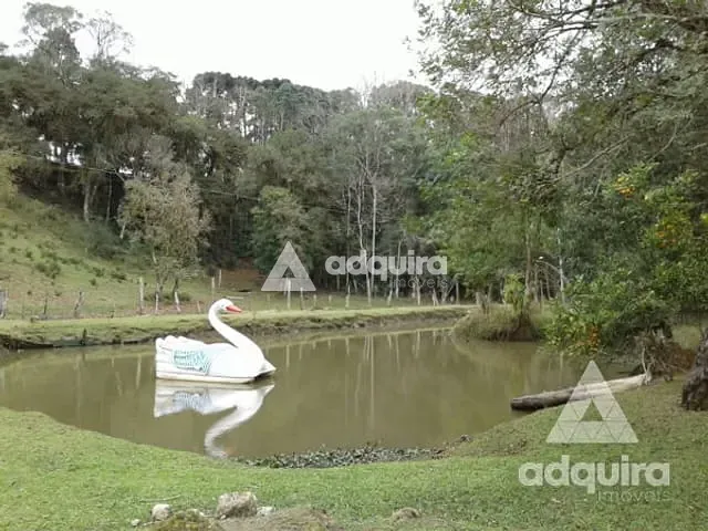 Chácara com 15000m², à venda, no bairro Uvaranas em Ponta Grossa