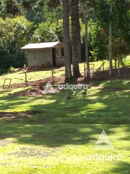 Sítio, 1 quarto, 2 hectares - Foto 10