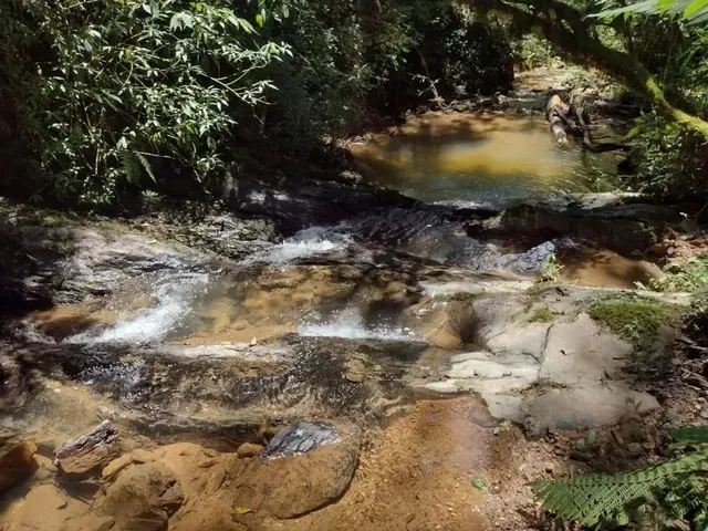 Sítio à venda, no bairro Campo Largo em Campo Largo