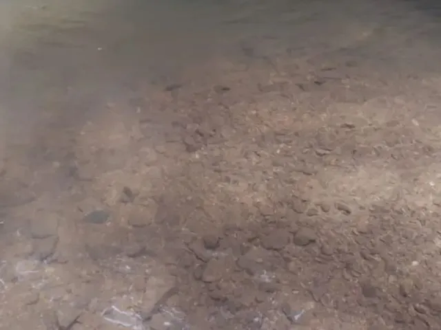 Sítio à venda, no bairro Campo Largo em Campo Largo