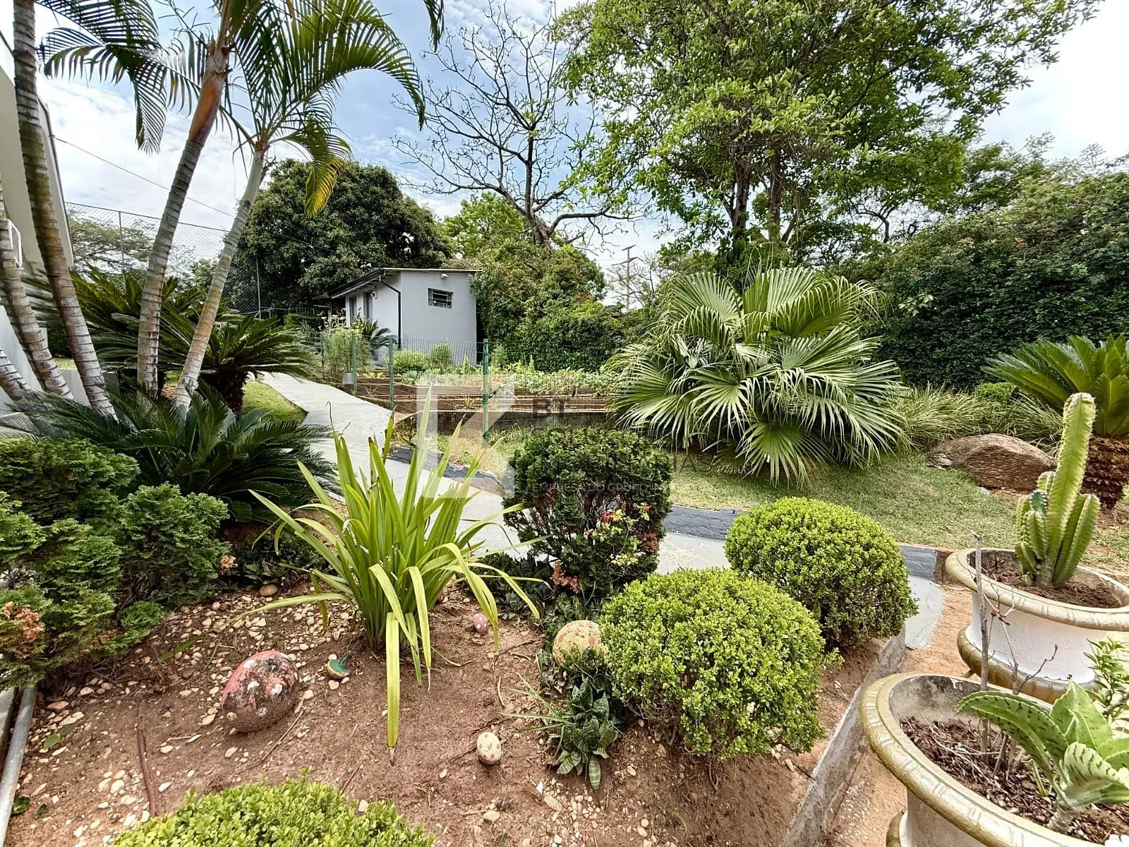 Chácara, 3 quartos, 5000 m² - Foto 9