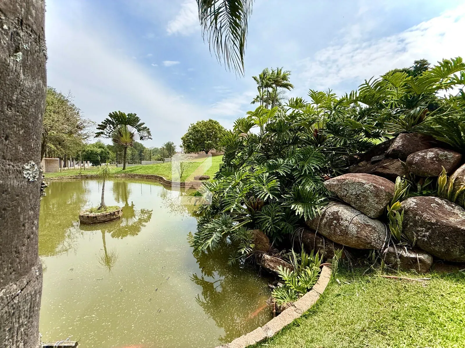 Chácara, 3 quartos, 5000 m² - Foto 2