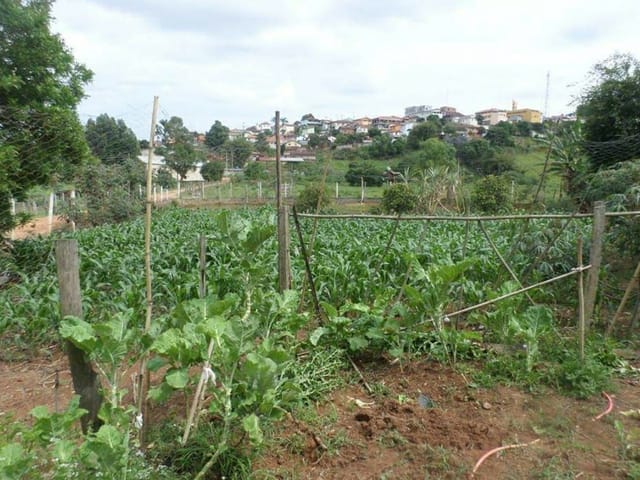 Chácara com 4300m² 3 quartos e 1 banheiro, à venda, no bairro Toledo em Toledo