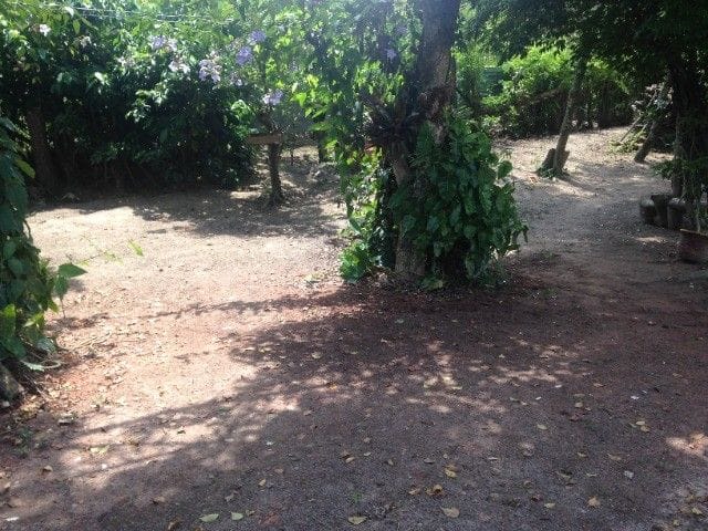 Foto do Chácara - Chácara com 1 dormitório à venda, 3200 m² por R$ 415.000,00 - Jardim Capitingal - São José dos Campos/SP | INDEPENDENCE NEGOCIOS IMOBILIARIOS LTDA
