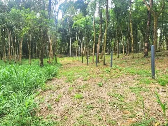 Sítio à venda, no bairro Área Rural de Campo Largo em Campo Largo
