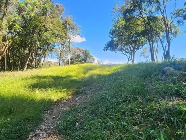 Sítio à venda, no bairro Área Rural de Campo Largo em Campo Largo