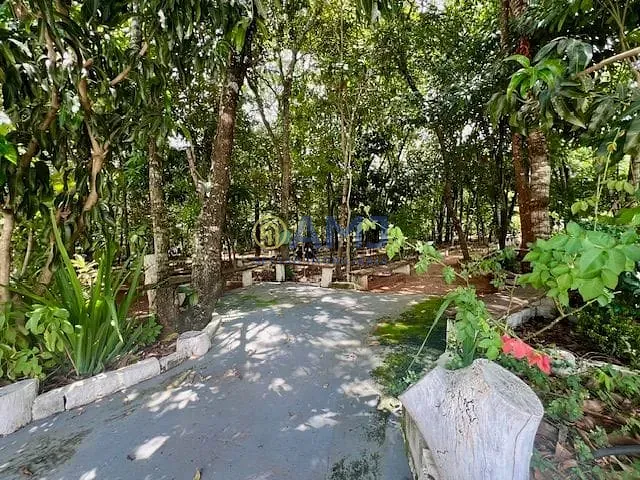Sítio, 8 quartos, 5353 m² - Foto 28