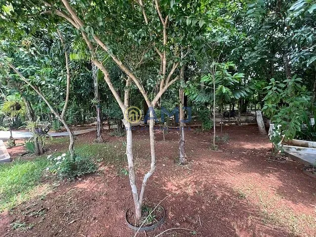 Sítio, 8 quartos, 5353 m² - Foto 35
