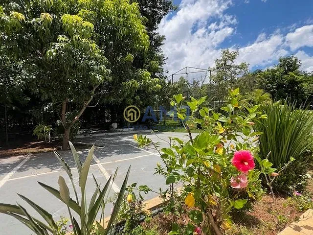Sítio, 8 quartos, 5353 m² - Foto 34