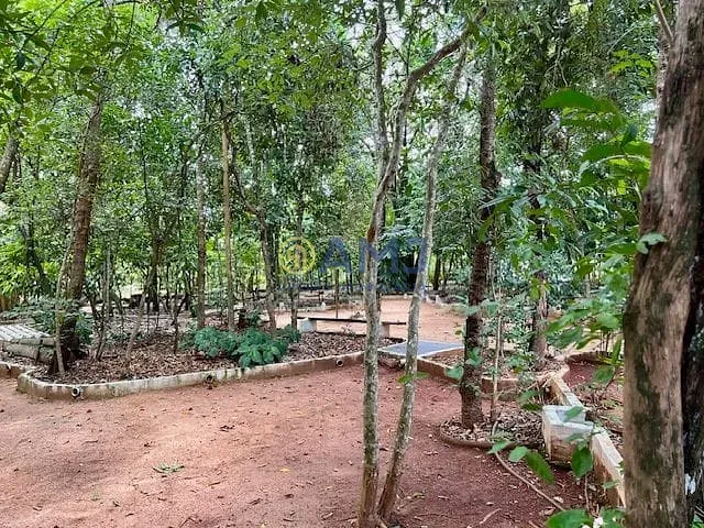 Sítio, 8 quartos, 5353 m² - Foto 36