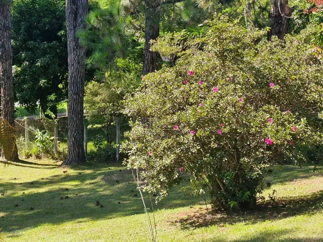 Chácara com 1360m² 3 quartos e 2 banheiros, à venda, no bairro Jardim do Lago em Atibaia