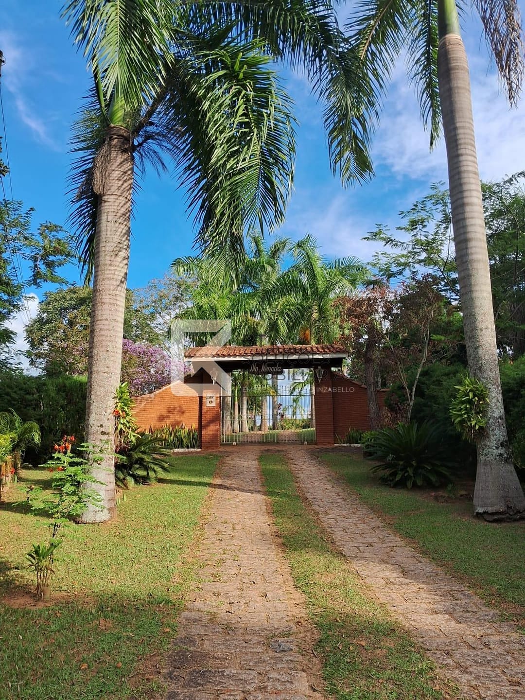 Chácara, 3 quartos, 8000 m² - Foto 34